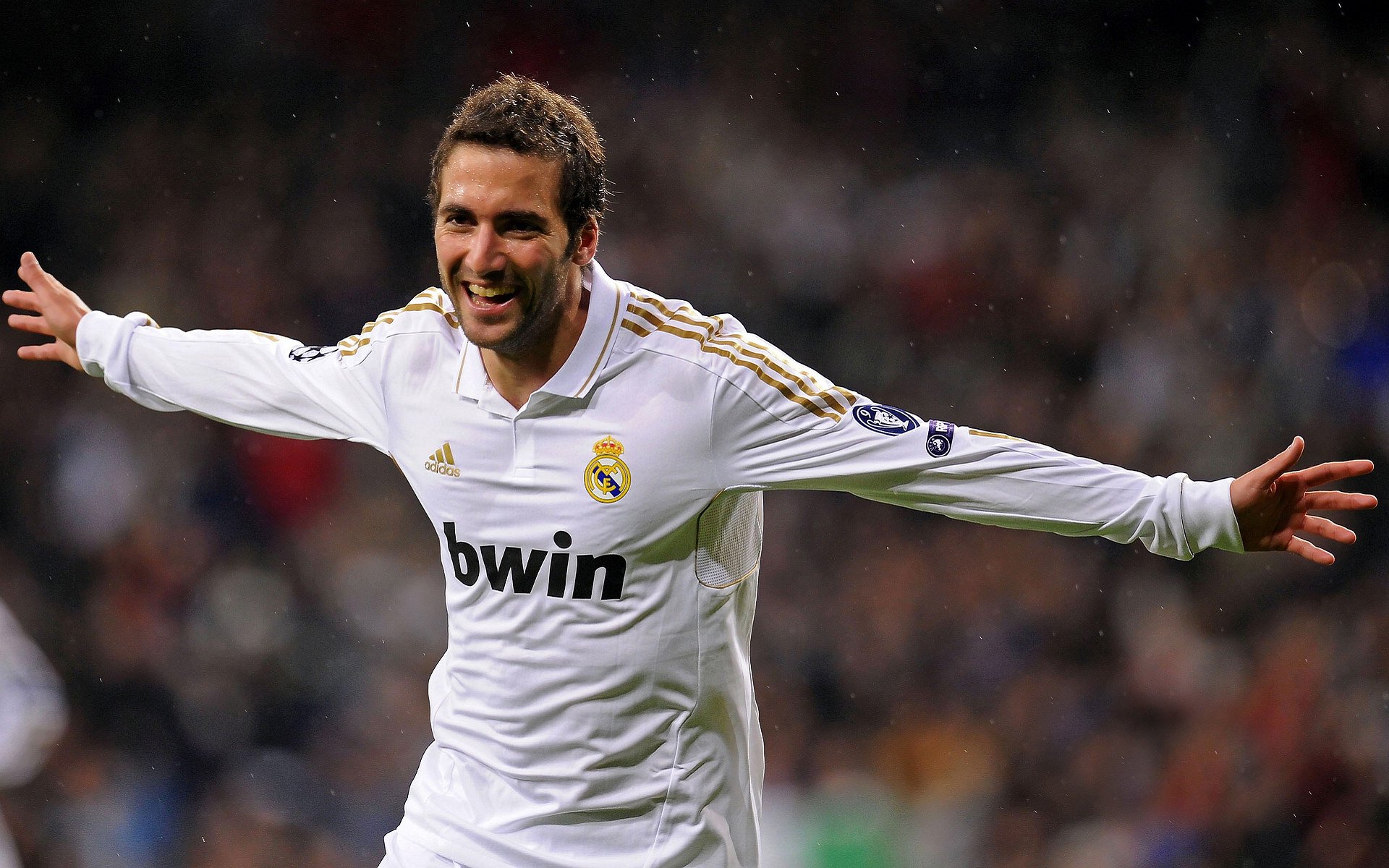 德国马术协会与国际马术联合会合作，举办国际马术交流活动，促进技术交流。